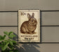 A postage stamp featuring a rabbit, with the text "Netherland Dwarf" printed on it.
