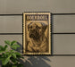 a large, detailed illustration of a Boerboel dog on a wall, mounted on a grey wall.