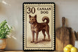 a framed stamp-like artwork depicting a brown dog, with the text "30 CANAAN DOG" printed on it. The artwork is displayed on a shelf next to a wooden cutting board and a potted plant.
