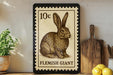 A framed illustration of a rabbit, labeled as a "FLEMISH GIANT", is displayed on a shelf next to a wooden cutting board and a potted plant.