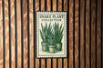 A metal sign with a snake plant illustration is mounted on a wooden wall.