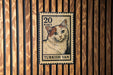 A Turkish postage stamp featuring a cat is displayed on a wooden wall.