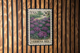 A USA 29 postage stamp featuring a field of purple flowers, with the text "VERBENA BED" printed on it.