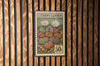 A postage stamp from the Lithops Garden, featuring a colorful illustration of various plants and flowers.