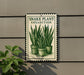 A sign for a " Snake Plant Collection" is displayed on a wall, featuring illustrations of snake plants in pots.