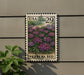 A US postage stamp featuring a vibrant image of a field of purple flowers, with the text "VERBENA BED" printed on it. The stamp is mounted on a wall, and there is a small green plant to the left of the stamp.