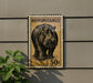 A postage stamp featuring a hippopotamus, with the text "HIPPOPOTAMUS" and the denomination "50c".