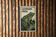 A framed illustration of a leopard frog is displayed on a wooden wall.