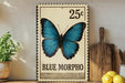 A framed image of a blue butterfly, with the text "BLUE MORPHO" below it, is displayed on a shelf next to a wooden cutting board and a potted plant.