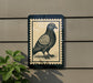 a bird, specifically a pigeon, depicted in a framed illustration on a wall.