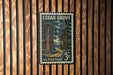 A vintage U.S. postage stamp featuring a forest scene, mounted on a wooden wall.