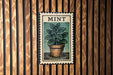 A framed illustration of a mint plant in a pot is displayed on a wooden wall.