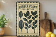 a wooden shelf with a sign that reads "Rubber Plant Collection" and a potted plant to the left. There are also some wooden cutting boards and a bowl of lemons on the shelf.