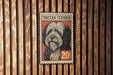 A postage stamp featuring a Tibetan Terrier dog, with the text "TIBETAN TERRIER" and "20c" printed on it.