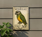 A postage stamp from Senegal, featuring a colorful parrot, is displayed on a wall next to a plant.