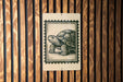 A wooden wall with a framed image of a turtle printed on it.