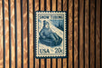 A blue and white postage stamp featuring a person riding a snow tube, mounted on a wooden wall.