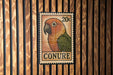 A colorful postage stamp featuring a parrot is displayed on a wooden wall.