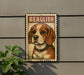 a beagle dog with a collar, and it is mounted on a wall.