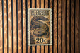 A 20 cent postage stamp featuring a salamander is displayed on a wooden wall.