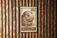 A 10c postage stamp featuring a guinea pig illustration is displayed on a wooden wall.