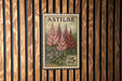 A vintage-style metal stamp with a floral design and the text "ASTILBE" printed on it, mounted on a wooden wall.
