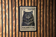 A black and white postage stamp featuring a cat's face, with the text "U.S. Forever Ragamuffin" printed on it.