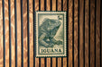 A postage stamp featuring an illustration of an iguana is displayed on a wooden wall.