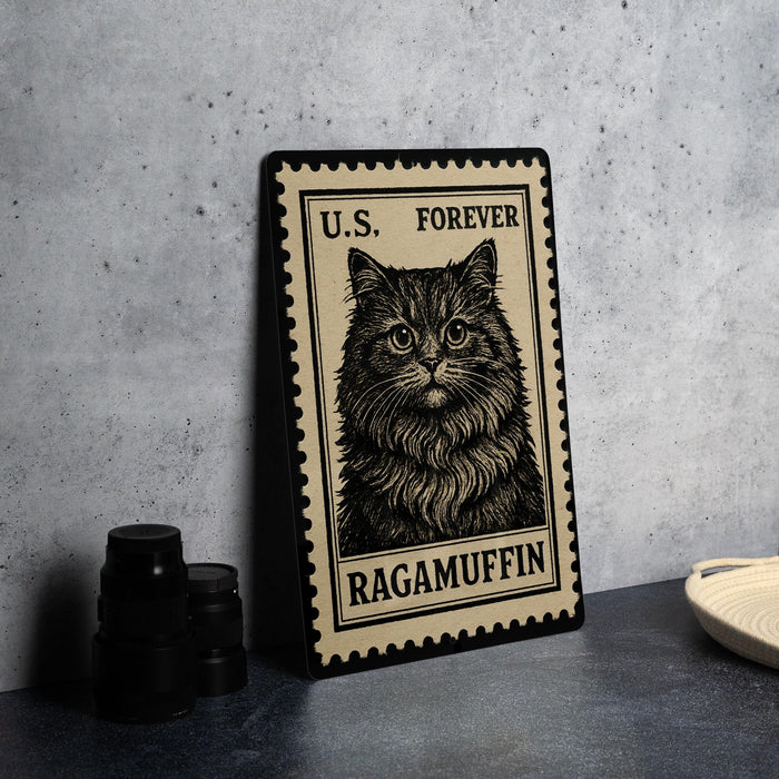 A framed image of a cat, specifically Ragamuffin, is displayed on a wall.