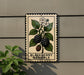 A metal sign with a blackberry bramble illustration is mounted on a wall, with a plant to the left.