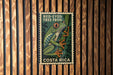 A poster of a red-eyed tree frog is displayed on a wooden wall.