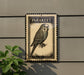 a parakeet, a small bird, perched on a wall.
