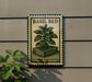 a sign with a plant illustration and the text "BASIL BED" and "OCIMUM BASILICUM" on a wall.