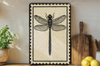 a framed picture of a dragonfly on a shelf, surrounded by various kitchen utensils and a potted plant.