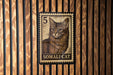 A close-up of a cat's face on a postage stamp, with the word "SOMALI CAT" printed below it.