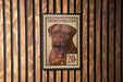 A French Mastiff dog is depicted on a postage stamp, which is affixed to a wooden wall.
