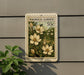A postage stamp-like sign with a floral design, mounted on a wall next to a plant.