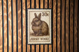 A 30c Jersey Wooly postage stamp is displayed on a wooden background.