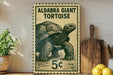 A vintage-style stamp featuring an illustration of a tortoise, with the text "ALDABRA GIANT TORTOISE" and a price of 5 cents.