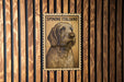 a Spaniel Italiano dog, which is depicted in a close-up portrait on a wooden surface.