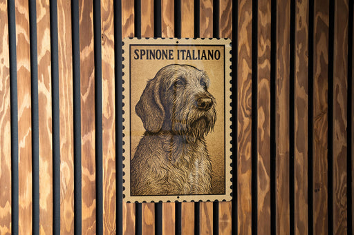 a Spaniel Italiano dog, which is depicted in a close-up portrait on a wooden surface.