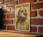 a Spaniel Italiano dog, which is a breed of dog known for its distinctive curly and long fur. The dog is depicted in a wooden frame, mounted on a brick wall.