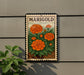 A postage stamp-style sign displaying a vibrant image of marigold flowers, mounted on a wall.