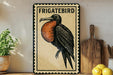 a framed illustration of a Frigatebird, a bird known for its distinctive appearance, perched on a wooden surface.