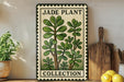 A vintage-style metal sign with a jade plant illustration, placed on a wooden shelf next to a wooden cutting board and a potted plant.