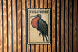 a wooden wall with a framed illustration of a Frigatebird, a large seabird known for its distinctive appearance and long beak.