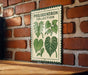 a sign for the Philodendron Collection, which is displayed on a brick wall.
