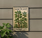 A decorative sign with a jade plant illustration is mounted on a wall, with a plant to the left of the sign.