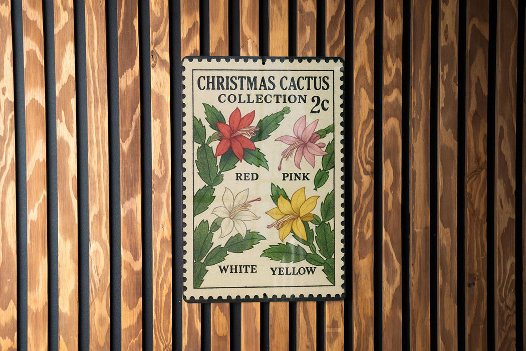 A Christmas cactus postage stamp with the colors red, pink, white, and yellow displayed on it, hanging on a wooden wall.