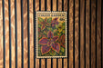 A colorful postage stamp featuring a vibrant plant with large leaves, displayed on a wooden wall.
